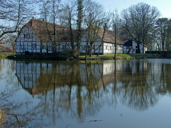 Oekonomiehinten.jpg